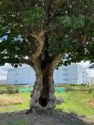 熊野社(愛知県)