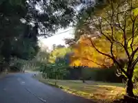 子安神社の周辺