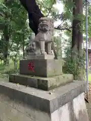 武蔵野神社の狛犬