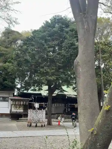 調神社の{uncategorized: "未分類", other: "その他", undefined: "問題あり", building: "その他建物", grave: "お墓", sacred_gate: "鳥居", guardian: "狛犬", statue: "像", buddha: "仏像", history: "歴史", nature: "自然", garden: "庭園", animal: "動物", pagoda: "塔", temizu: "手水舎", mountain_gate: "山門・神門", sanctuary: "本殿・本堂", subordinate: "末社・摂社", art: "芸術", scenery: "景色", jizo: "地蔵", ema: "絵馬", goshuin: "御朱印", omikuji: "おみくじ", items: "授与品その他", amulet: "お守り", goshuincho: "御朱印帳", eats: "食事", festival: "お祭り", votive_dance: "神楽", shichigosan: "七五三参", wedding: "結婚式", experience: "体験その他", initially: "初詣", around: "周辺", anti_infection: "感染症対策"}