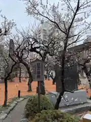 湯島天満宮(東京都)