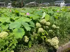 青龍山 吉祥寺(群馬県)