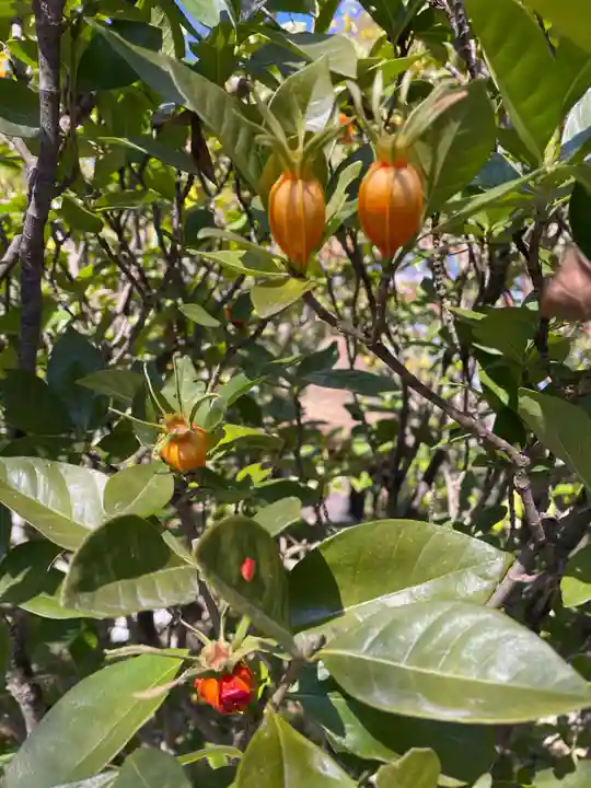 退蔵院(京都府)