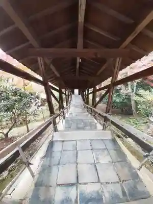 高台寺（高台寿聖禅寺・高臺寺）(京都府)