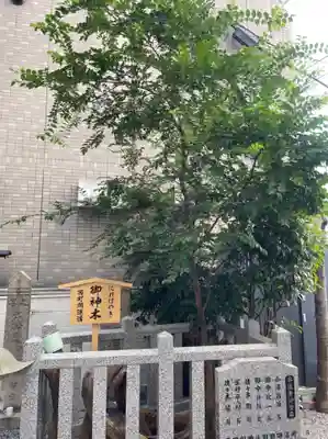 さいの木神社の自然