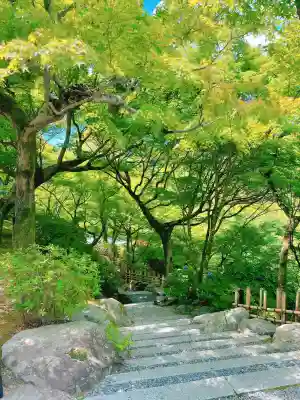 東福禅寺(東福寺)の{uncategorized: "未分類", other: "その他", undefined: "問題あり", building: "その他建物", grave: "お墓", sacred_gate: "鳥居", guardian: "狛犬", statue: "像", buddha: "仏像", history: "歴史", nature: "自然", garden: "庭園", animal: "動物", pagoda: "塔", temizu: "手水舎", mountain_gate: "山門・神門", sanctuary: "本殿・本堂", subordinate: "末社・摂社", art: "芸術", scenery: "景色", jizo: "地蔵", ema: "絵馬", goshuin: "御朱印", omikuji: "おみくじ", items: "授与品その他", amulet: "お守り", goshuincho: "御朱印帳", eats: "食事", festival: "お祭り", votive_dance: "神楽", shichigosan: "七五三参", wedding: "結婚式", experience: "体験その他", initially: "初詣", around: "周辺", anti_infection: "感染症対策"}