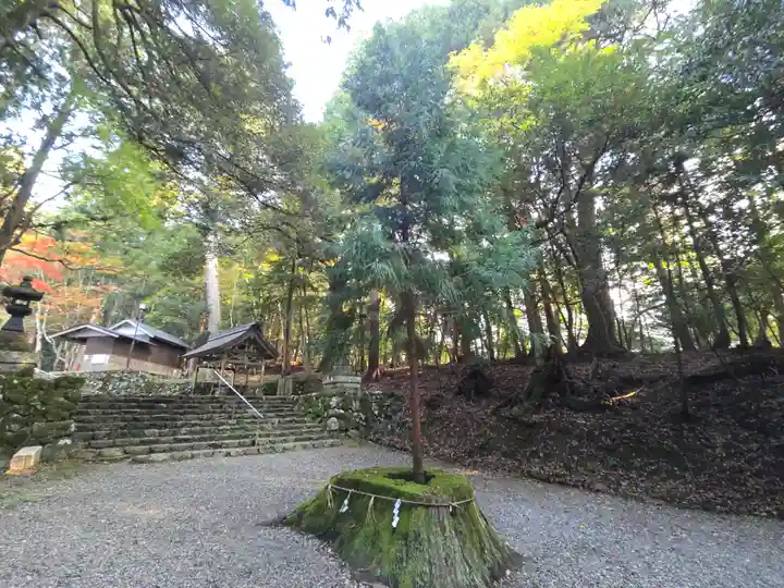 元伊勢内宮 皇大神社(京都府)