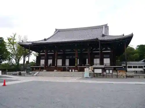 くろ谷 金戒光明寺の本殿・本堂