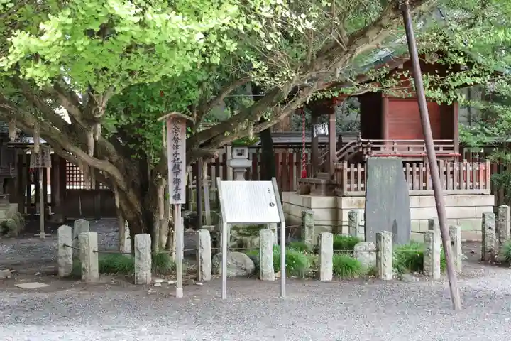 秩父神社の自然