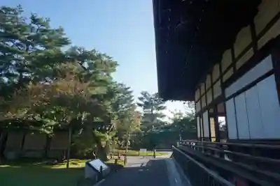 高台寺(高台寿聖禅寺・高臺寺)の本殿・本堂