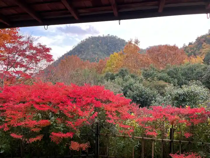 光悦寺(京都府)