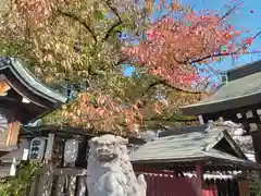 阿部野神社の狛犬