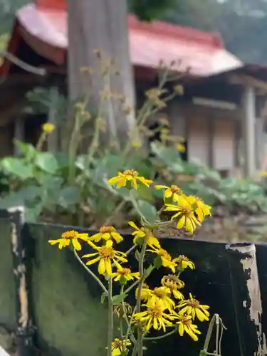 思金神社の自然