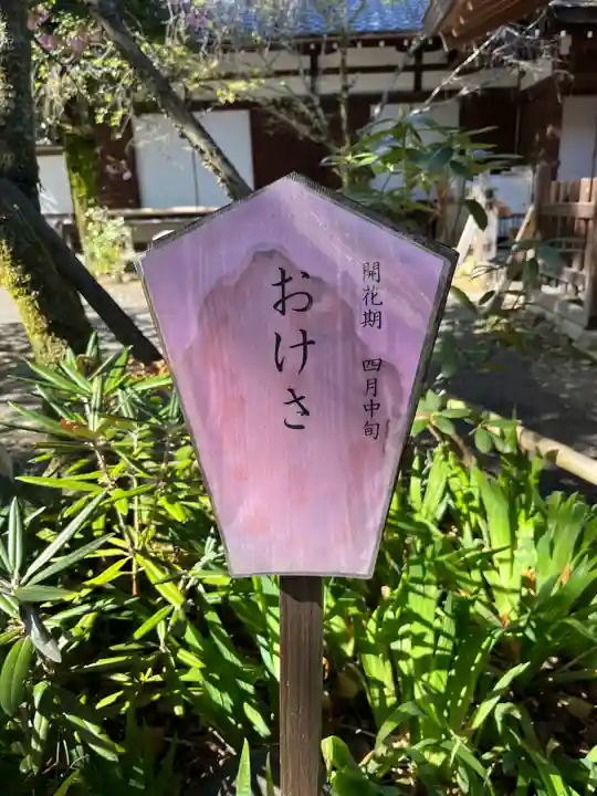 平野神社のその他建物