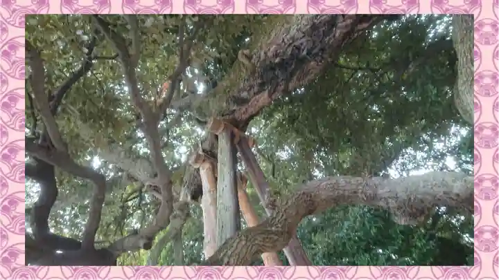 九重神社(埼玉県)