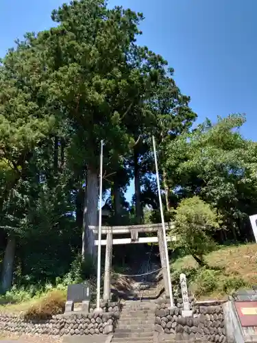 奥泉大井神社の鳥居