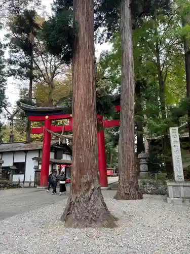 伊佐須美神社(福島県)