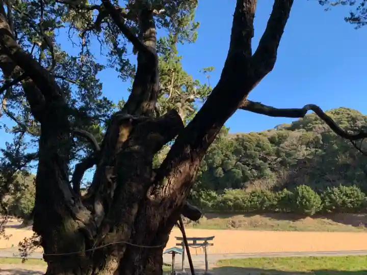 十二天神社の自然