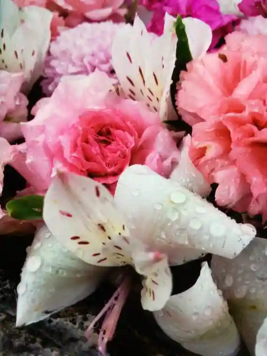 本郷氷川神社(東京都)