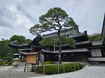 泉岳寺(東京都)