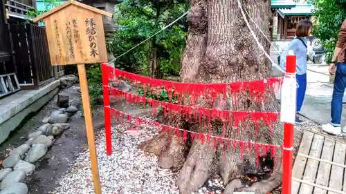 三輪神社の自然