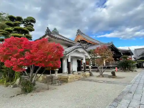 清光寺(三重県)