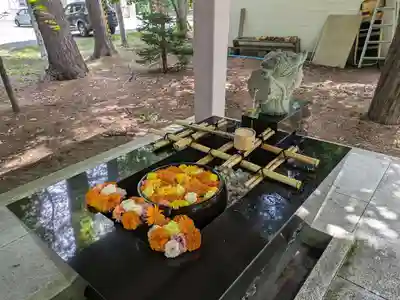 大谷地神社(北海道)