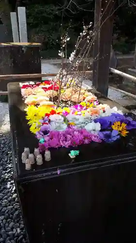 前玉神社の手水