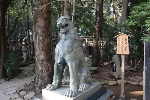 駒木諏訪神社の狛犬