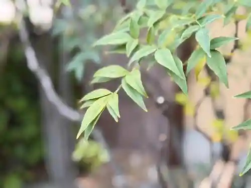 西方山極楽寺(岐阜県)