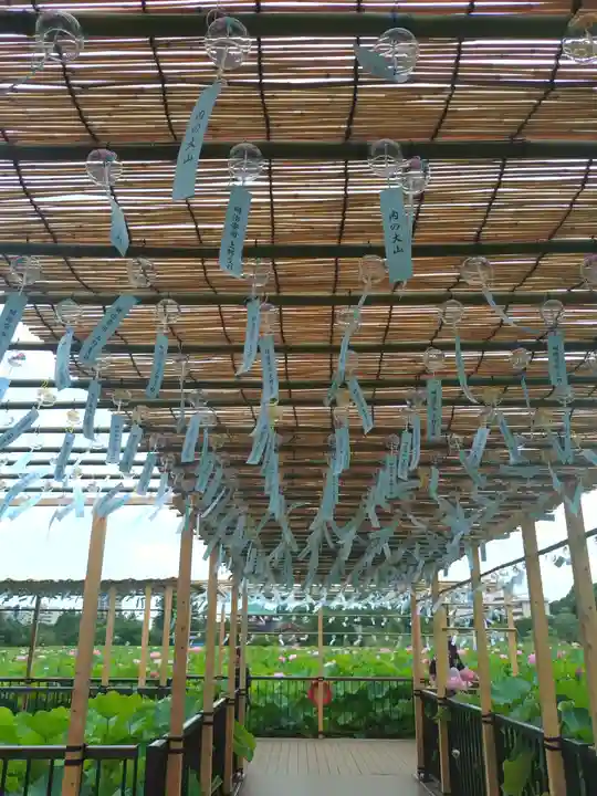 寛永寺不忍池弁天堂(東京都)