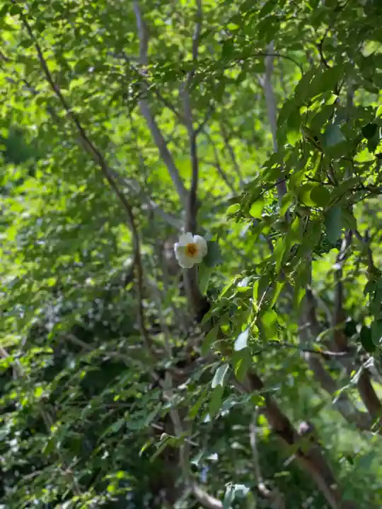 東林院(京都府)