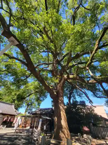 高忍日賣神社(愛媛県)