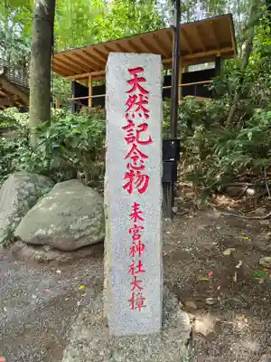 來宮神社(静岡県)