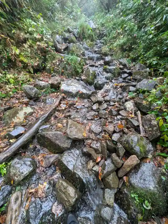 戸隠神社奥社の自然