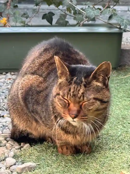 露天神社(お初天神)(大阪府)