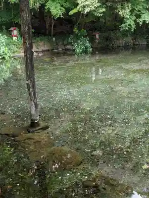 富士山本宮浅間大社(静岡県)