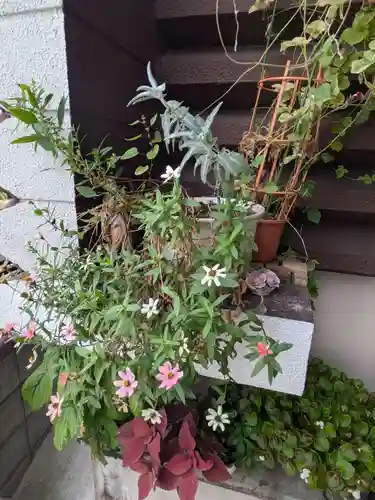 浄林寺(東京都)