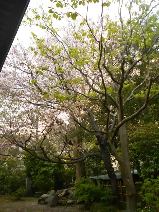 極楽寺(霊鷲山感應院極楽律寺)の自然