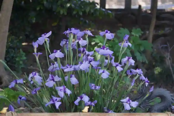 東海市熊野神社の手水舎