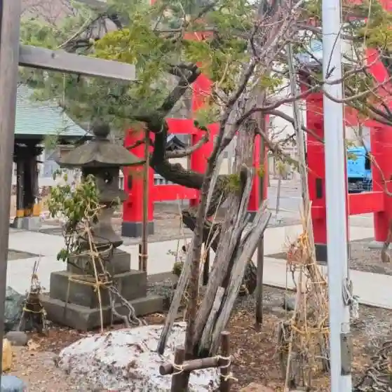 彌彦神社 (伊夜日子神社)の自然