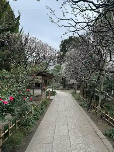 宝戒寺(神奈川県)