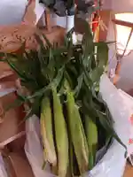伏木香取神社(茨城県)