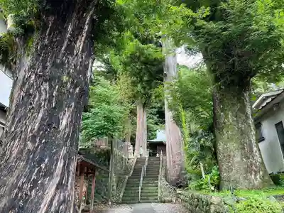 日枝神社(静岡県)