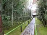 高桐院(京都府)