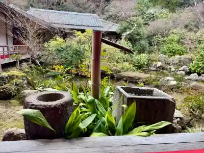 実相院門跡の{uncategorized: "未分類", other: "その他", undefined: "問題あり", building: "その他建物", grave: "お墓", sacred_gate: "鳥居", guardian: "狛犬", statue: "像", buddha: "仏像", history: "歴史", nature: "自然", garden: "庭園", animal: "動物", pagoda: "塔", temizu: "手水舎", mountain_gate: "山門・神門", sanctuary: "本殿・本堂", subordinate: "末社・摂社", art: "芸術", scenery: "景色", jizo: "地蔵", ema: "絵馬", goshuin: "御朱印", omikuji: "おみくじ", items: "授与品その他", amulet: "お守り", goshuincho: "御朱印帳", eats: "食事", festival: "お祭り", votive_dance: "神楽", shichigosan: "七五三参", wedding: "結婚式", experience: "体験その他", initially: "初詣", around: "周辺", anti_infection: "感染症対策"}