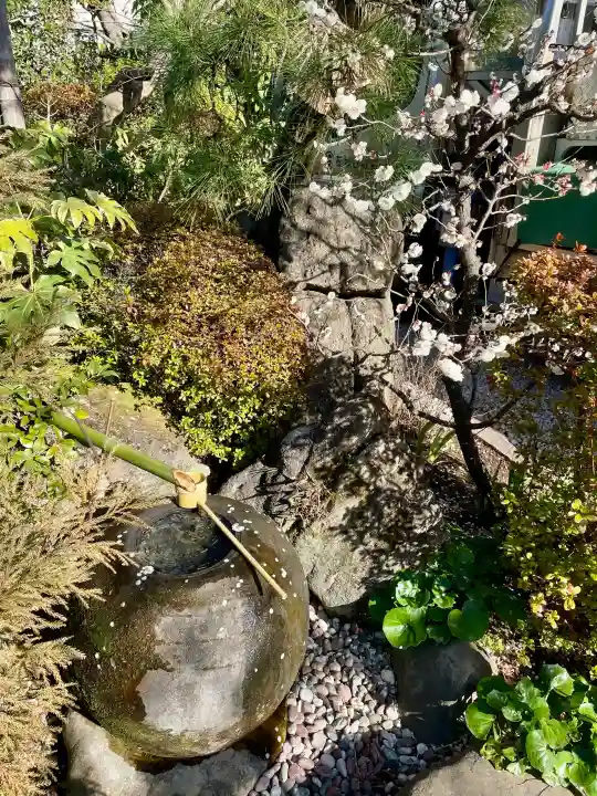 栄松院の{uncategorized: "未分類", other: "その他", undefined: "問題あり", building: "その他建物", grave: "お墓", sacred_gate: "鳥居", guardian: "狛犬", statue: "像", buddha: "仏像", history: "歴史", nature: "自然", garden: "庭園", animal: "動物", pagoda: "塔", temizu: "手水舎", mountain_gate: "山門・神門", sanctuary: "本殿・本堂", subordinate: "末社・摂社", art: "芸術", scenery: "景色", jizo: "地蔵", ema: "絵馬", goshuin: "御朱印", omikuji: "おみくじ", items: "授与品その他", amulet: "お守り", goshuincho: "御朱印帳", eats: "食事", festival: "お祭り", votive_dance: "神楽", shichigosan: "七五三参", wedding: "結婚式", experience: "体験その他", initially: "初詣", around: "周辺", anti_infection: "感染症対策"}