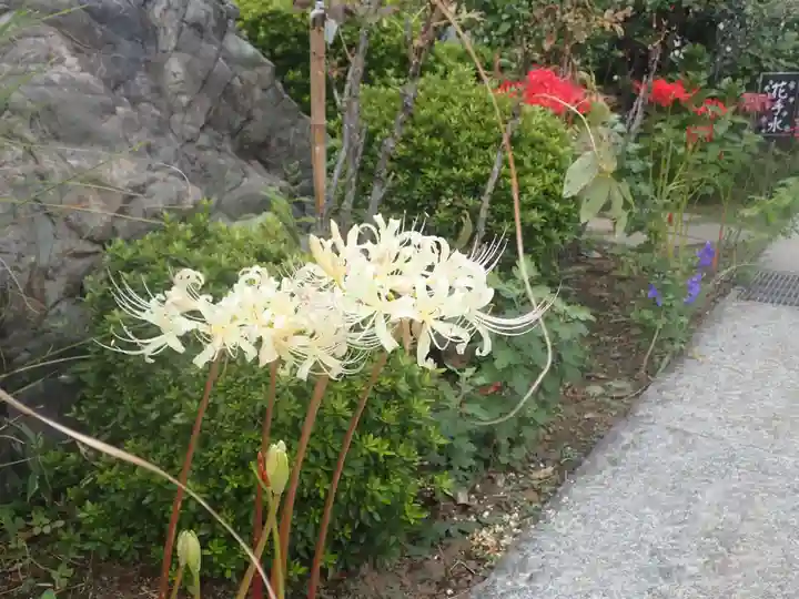 元三島神社(東京都)