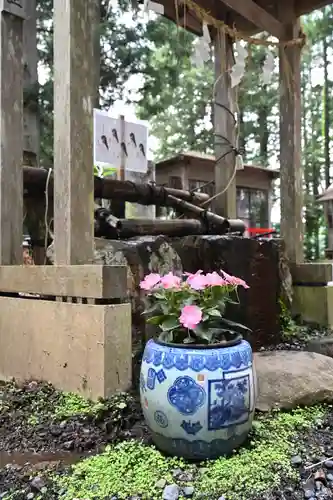 坪沼八幡神社(宮城県)