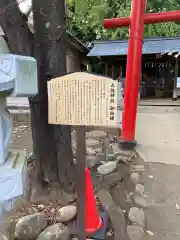 天祖神社（与野七福神　寿老神）の歴史